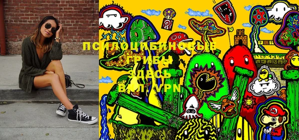 ПСИЛОЦИБИНОВЫЕ ГРИБЫ Елизово