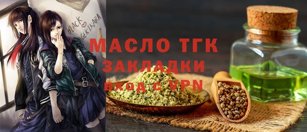 молекула духа Дмитров