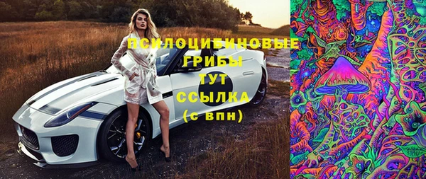 ПСИЛОЦИБИНОВЫЕ ГРИБЫ Елизово