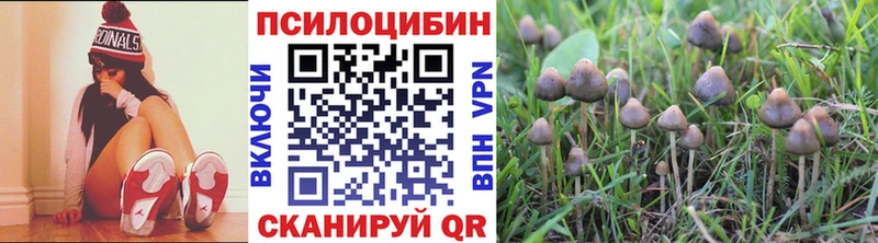Псилоцибиновые грибы Psilocybe  как найти наркотики  Радужный 